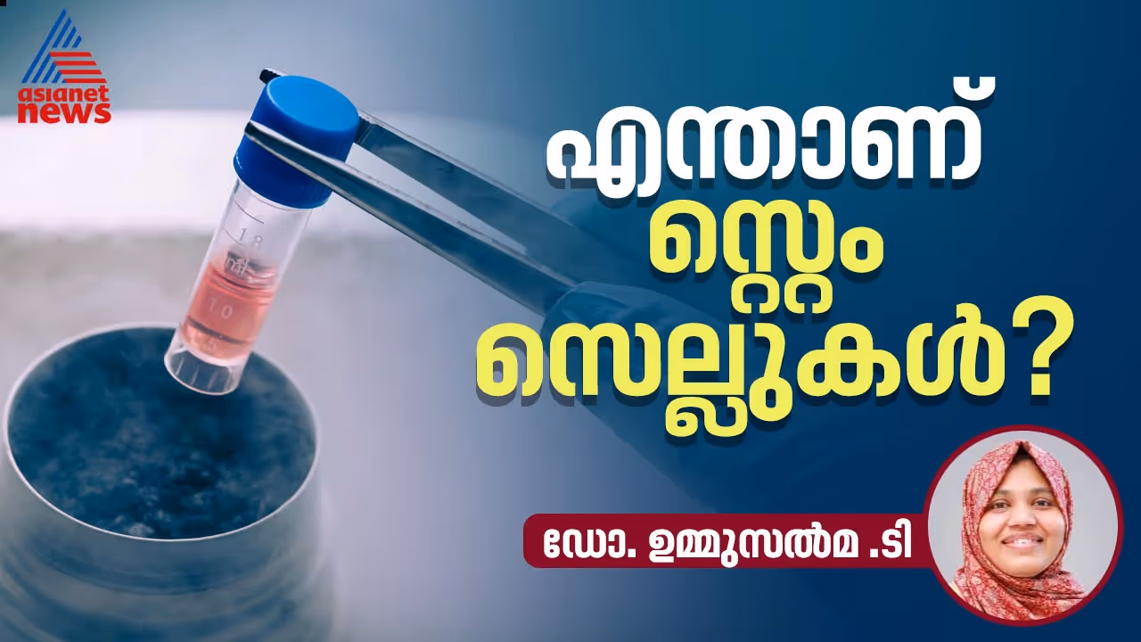 stem cell stem cell