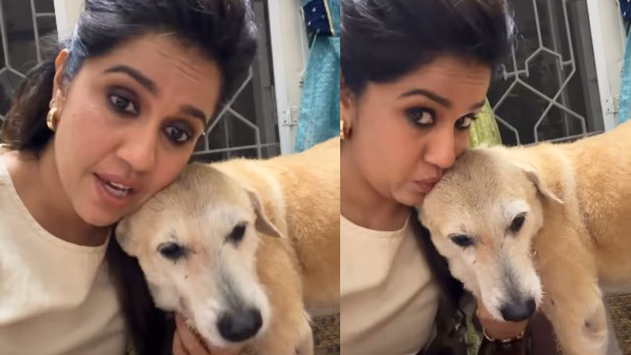 ranjini haridas on her dead dog ranjini haridas on her dead dog