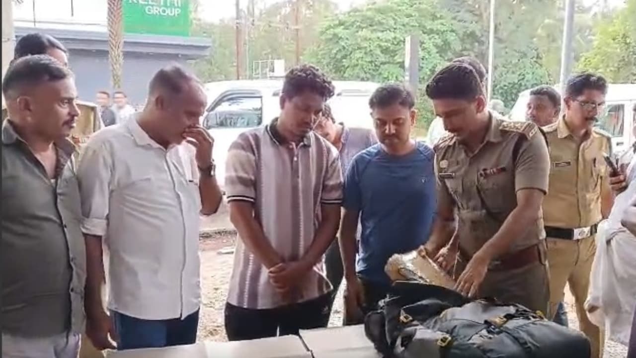 Ganja Ganja