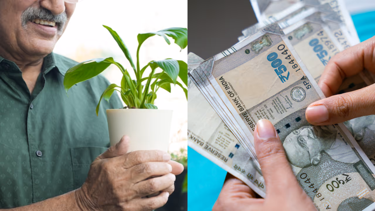 Retirement savings Retirement savings