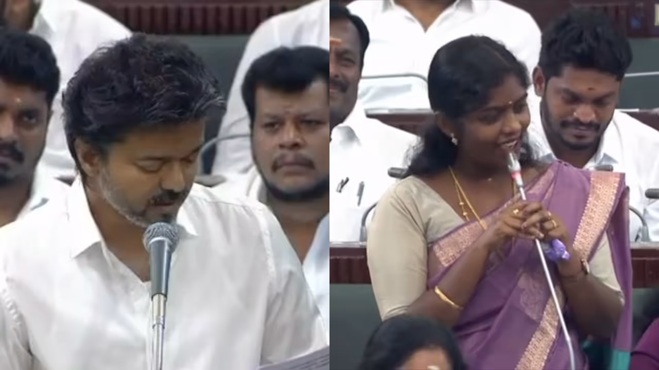 vijay vijay