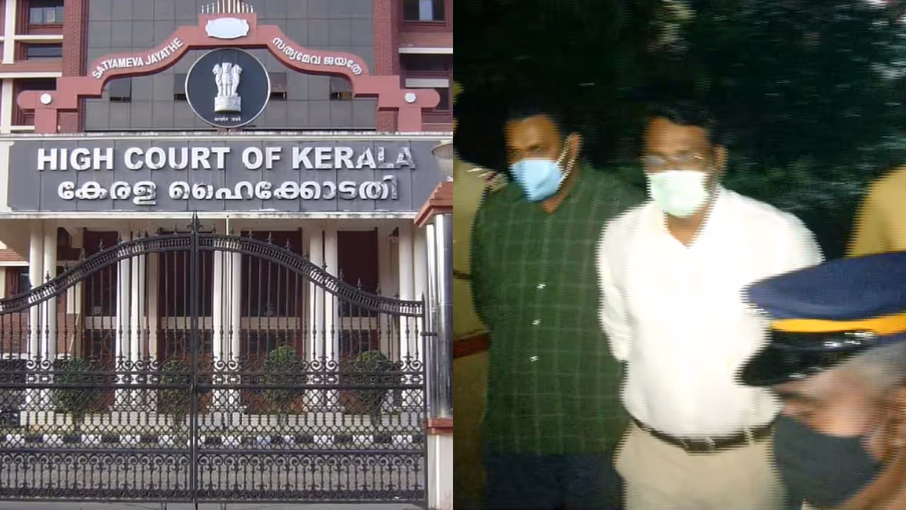 high court, muttil tree cut case high court, muttil tree cut case