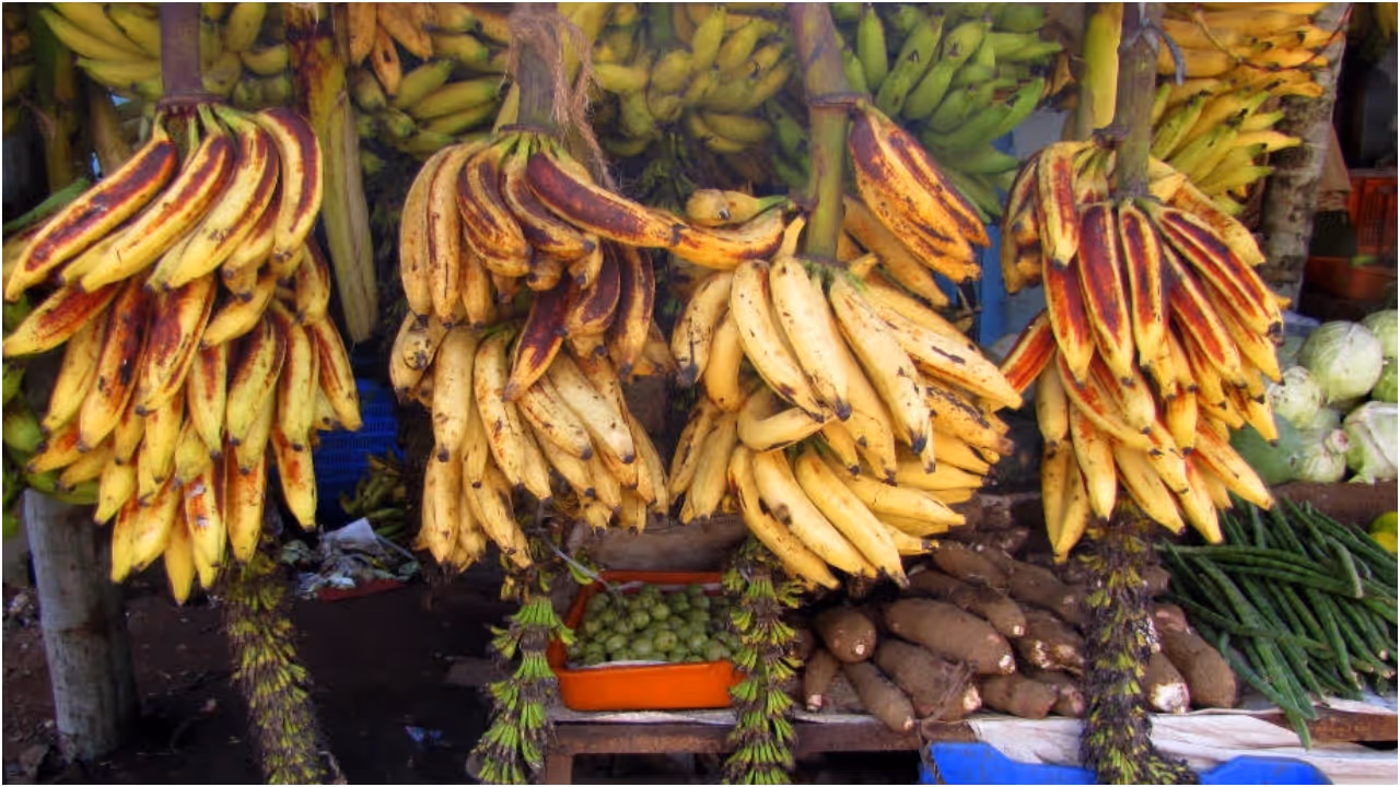 Banana Banana