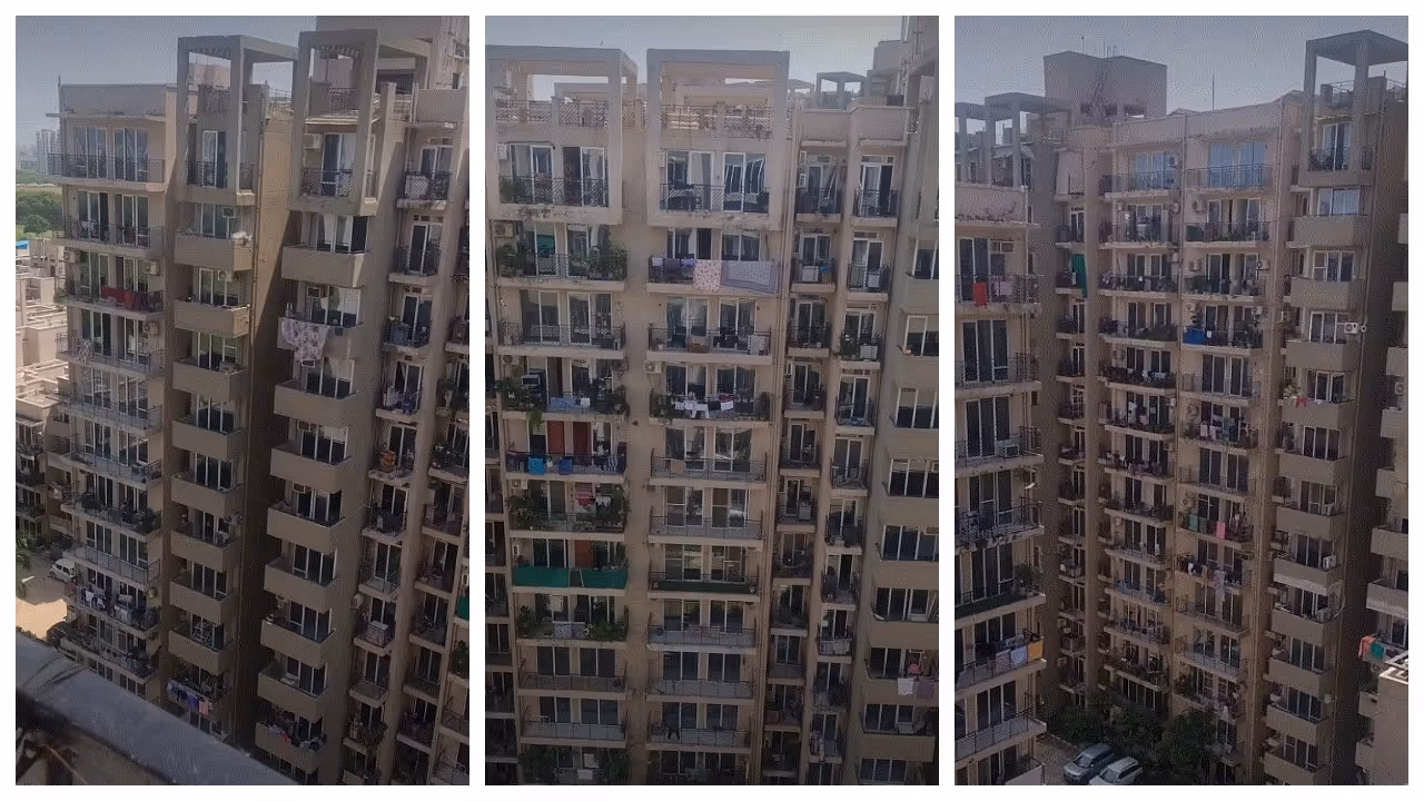 flat life flat life