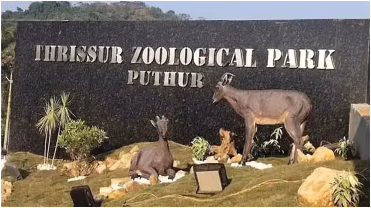 Puthur park Puthur park