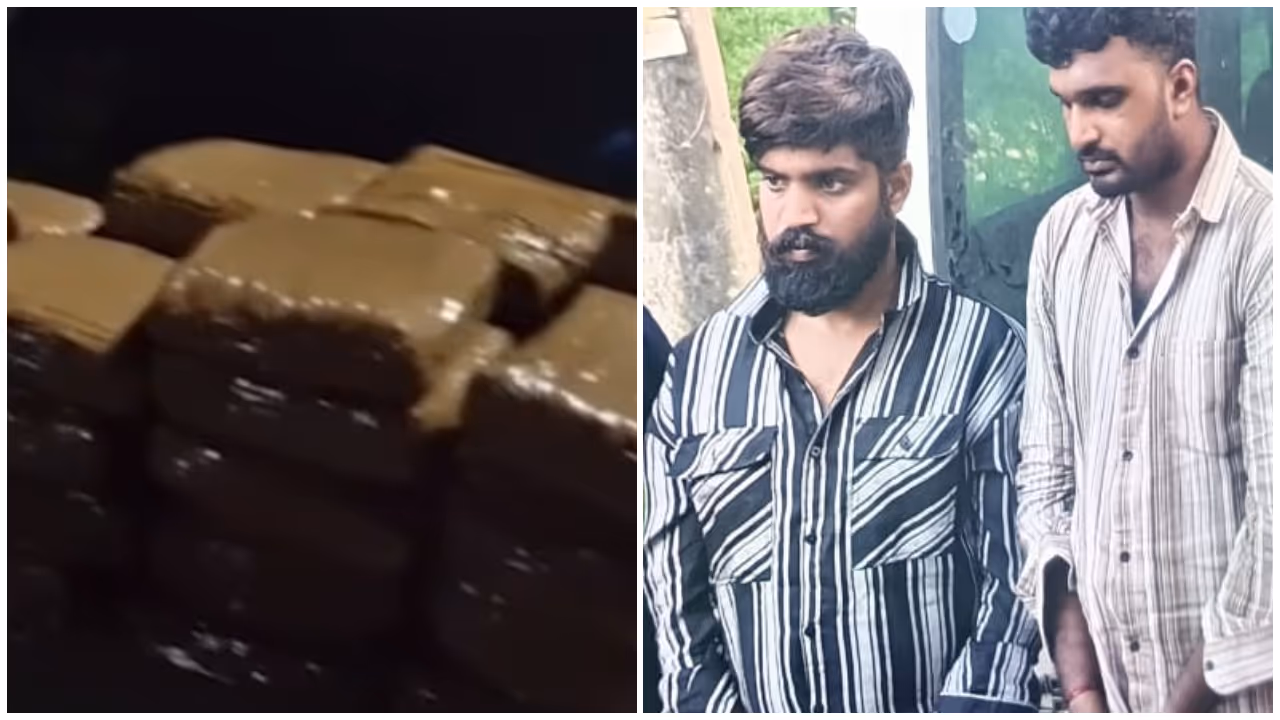 ganja arrest ganja arrest
