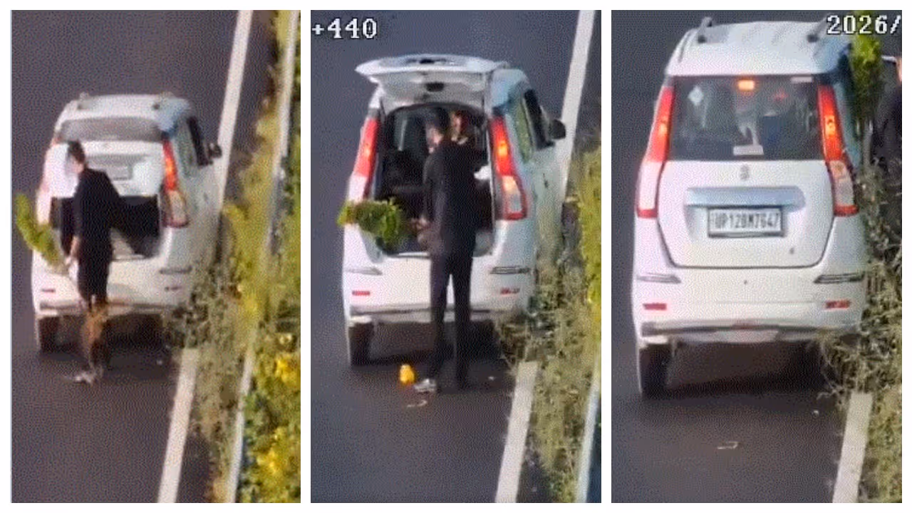 plant theft at delhi dehradun expressway plant theft at delhi dehradun expressway