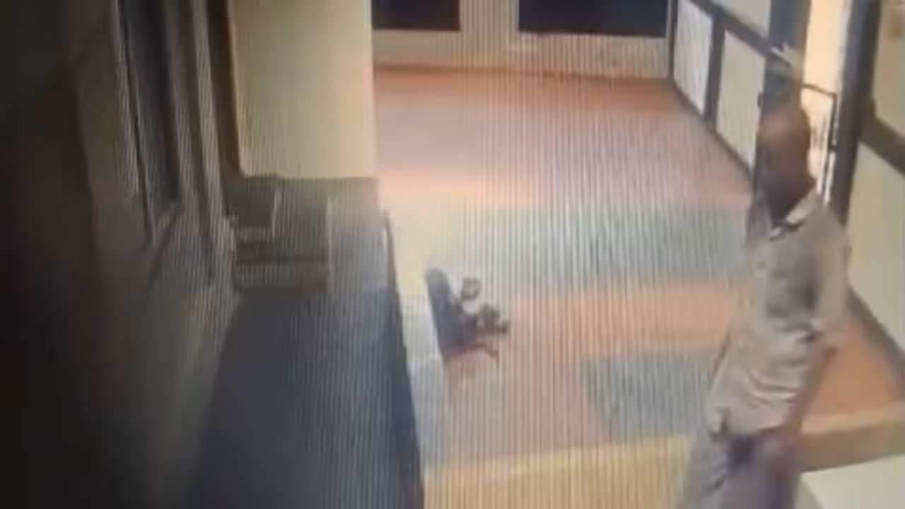 Masjid theft Masjid theft