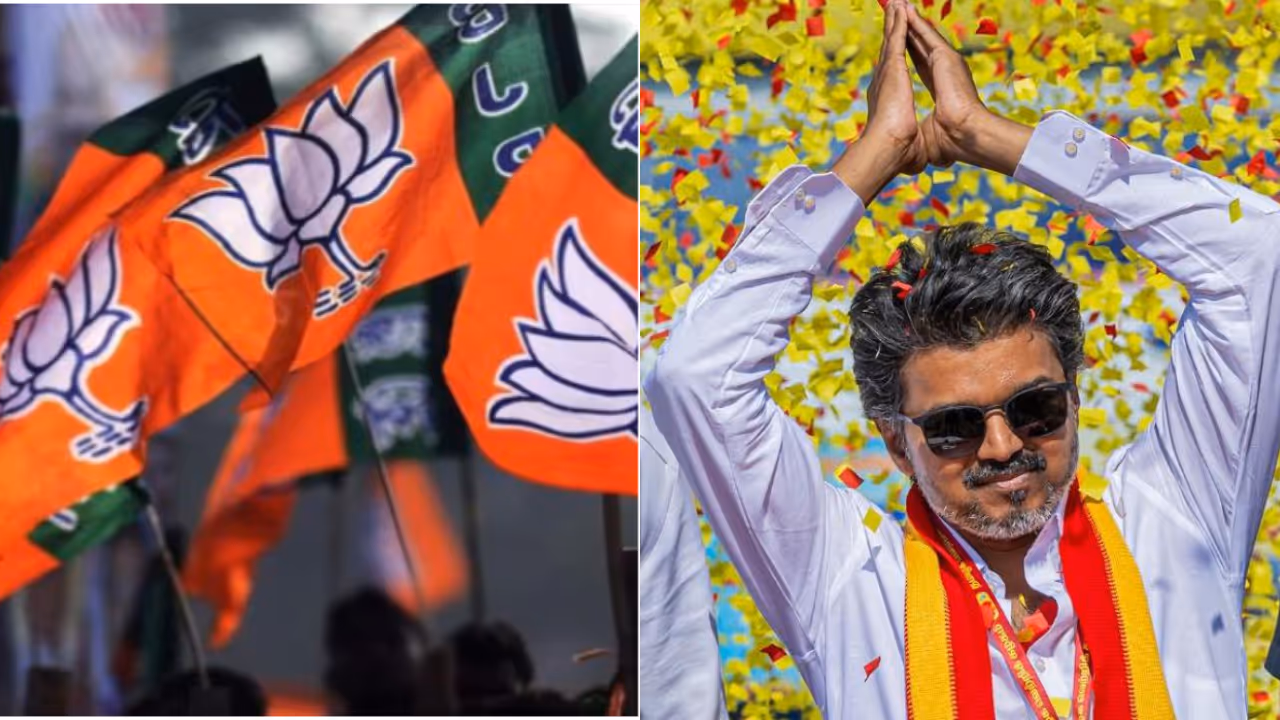 bjp, tvk bjp, tvk