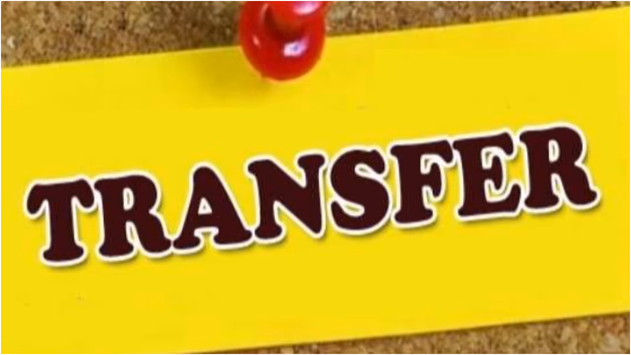 Transfer Transfer