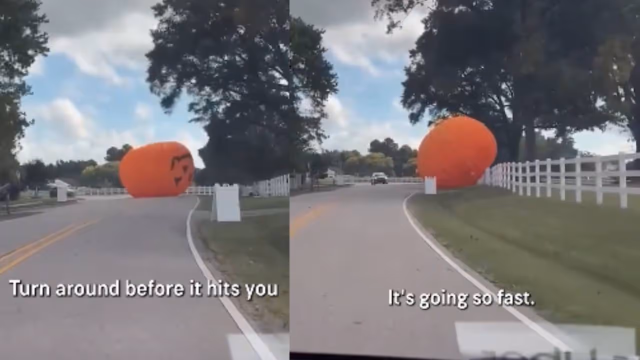 viral video viral video