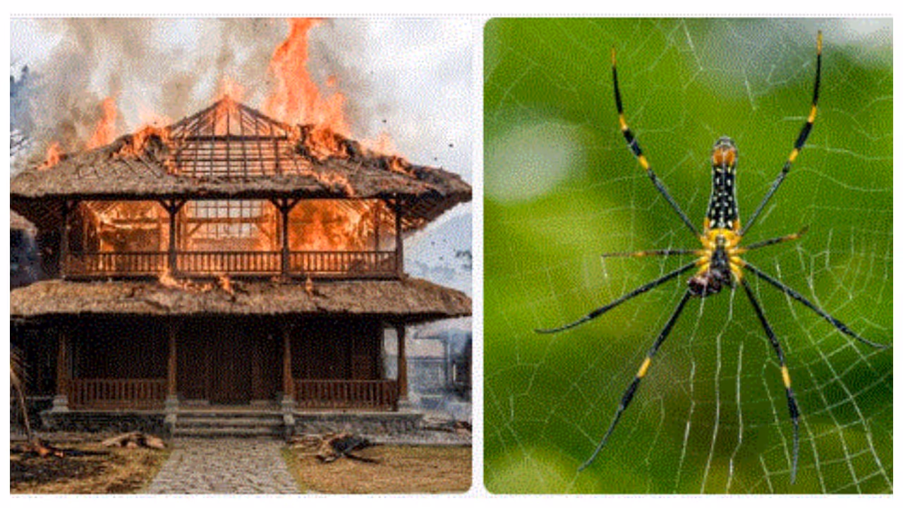 bali tourist burns villa bali tourist burns villa