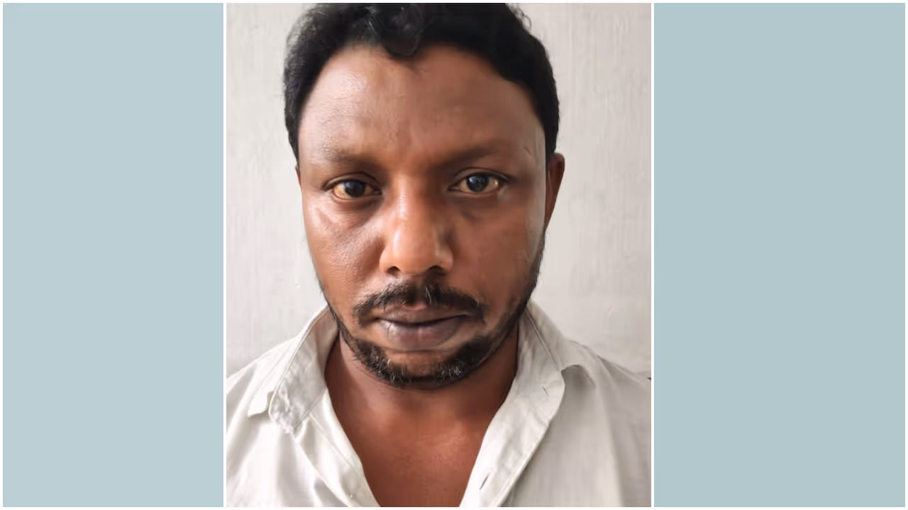 rold gold arrest rold gold arrest