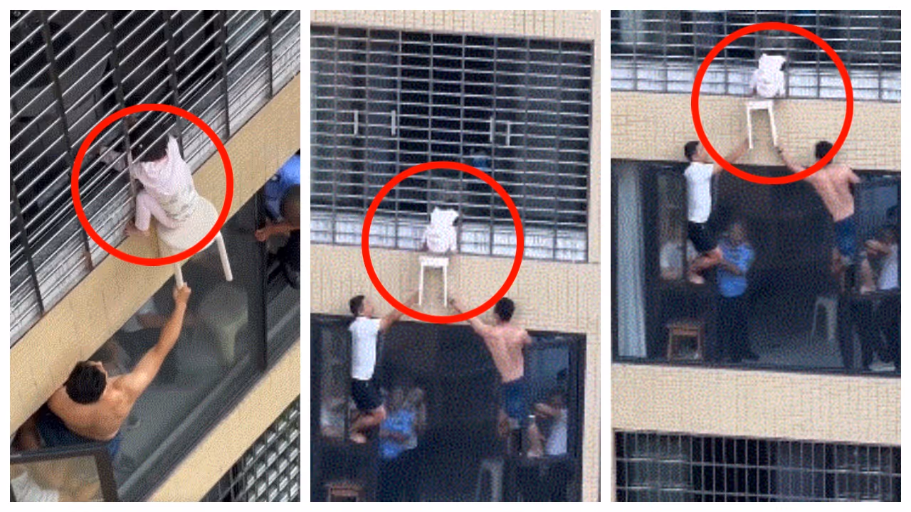 china toddler dangles 12th floor china toddler dangles 12th floor