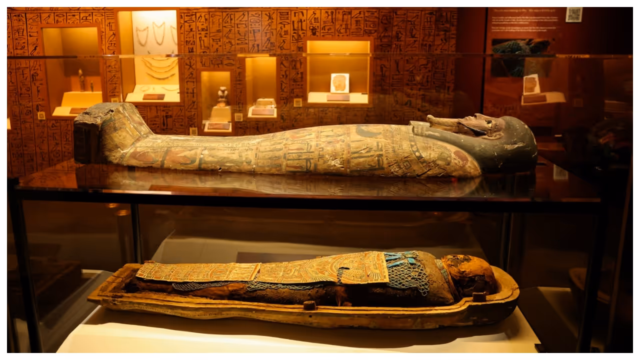 Egyptian mummies Egyptian mummies