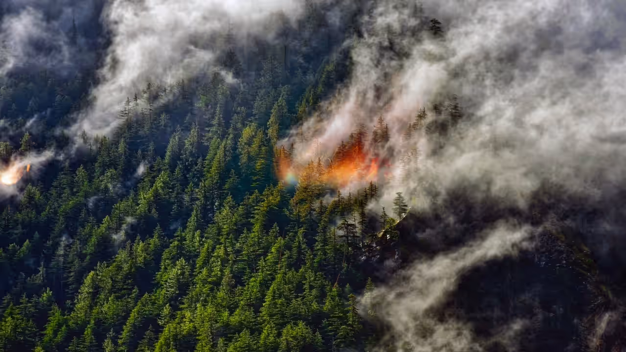 Wildfire Smoke Wildfire Smoke