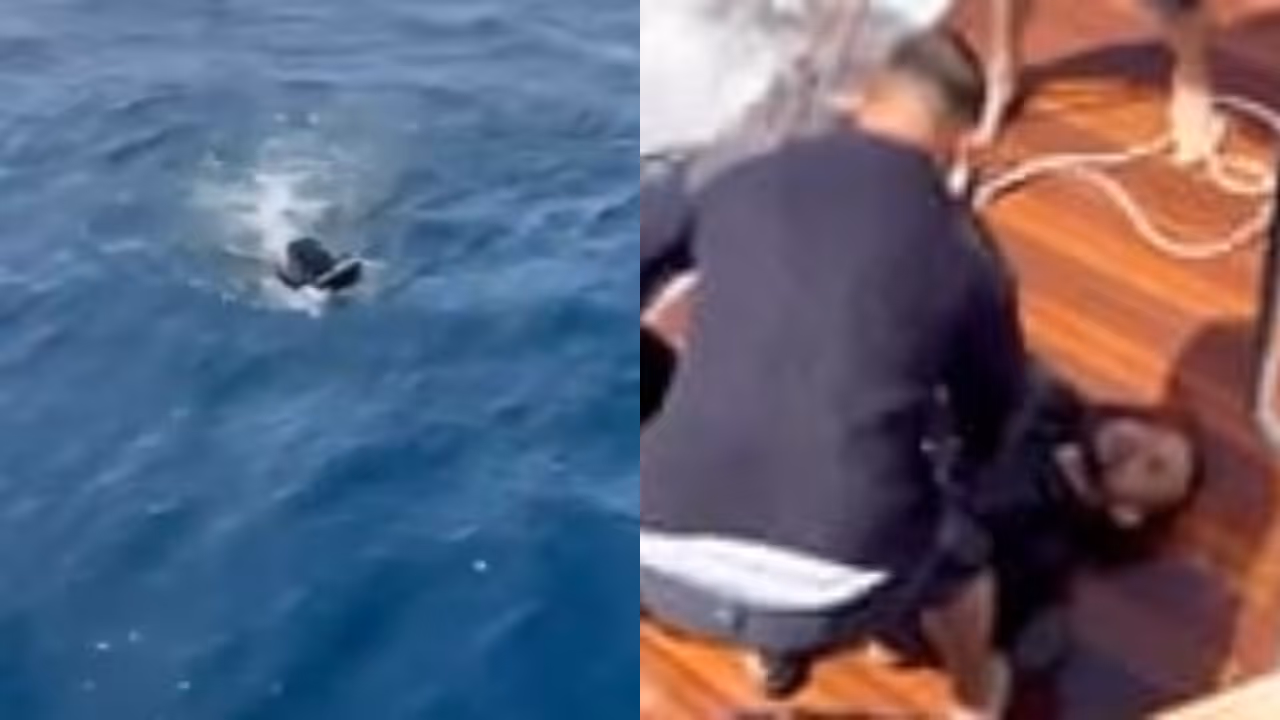 man rescued from sea rubber ring and flippers