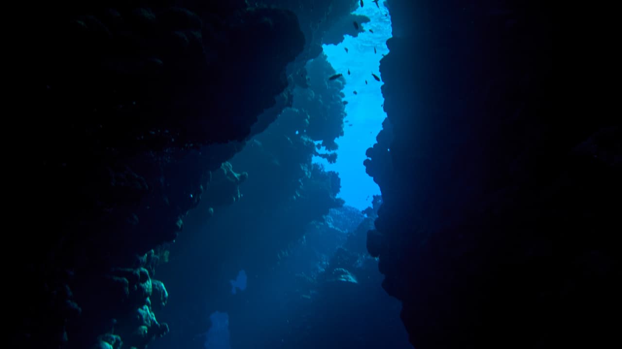 Underwater landscape Underwater landscape