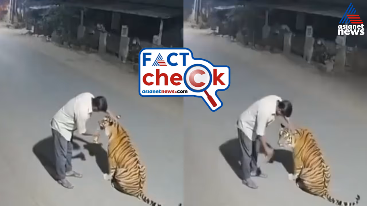 fact check fact check