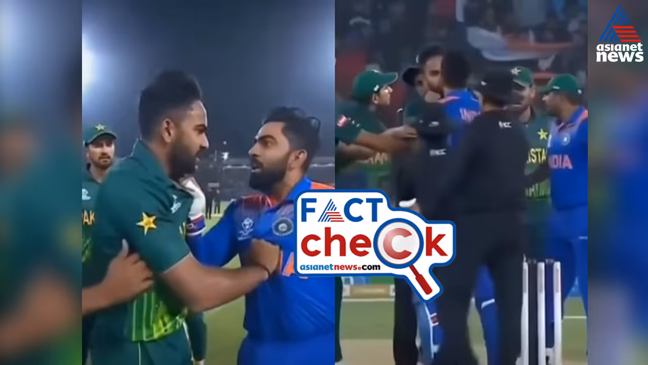 fact check fact check