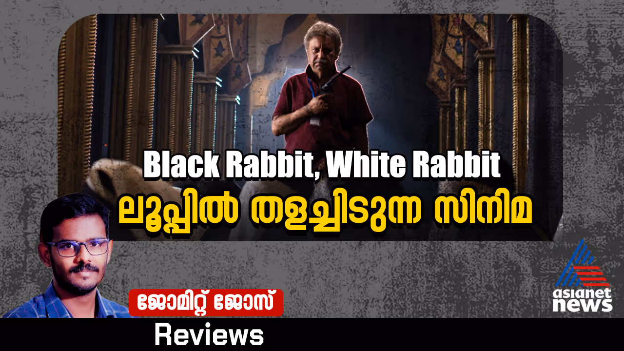 Black Rabbit White Rabbit Black Rabbit White Rabbit