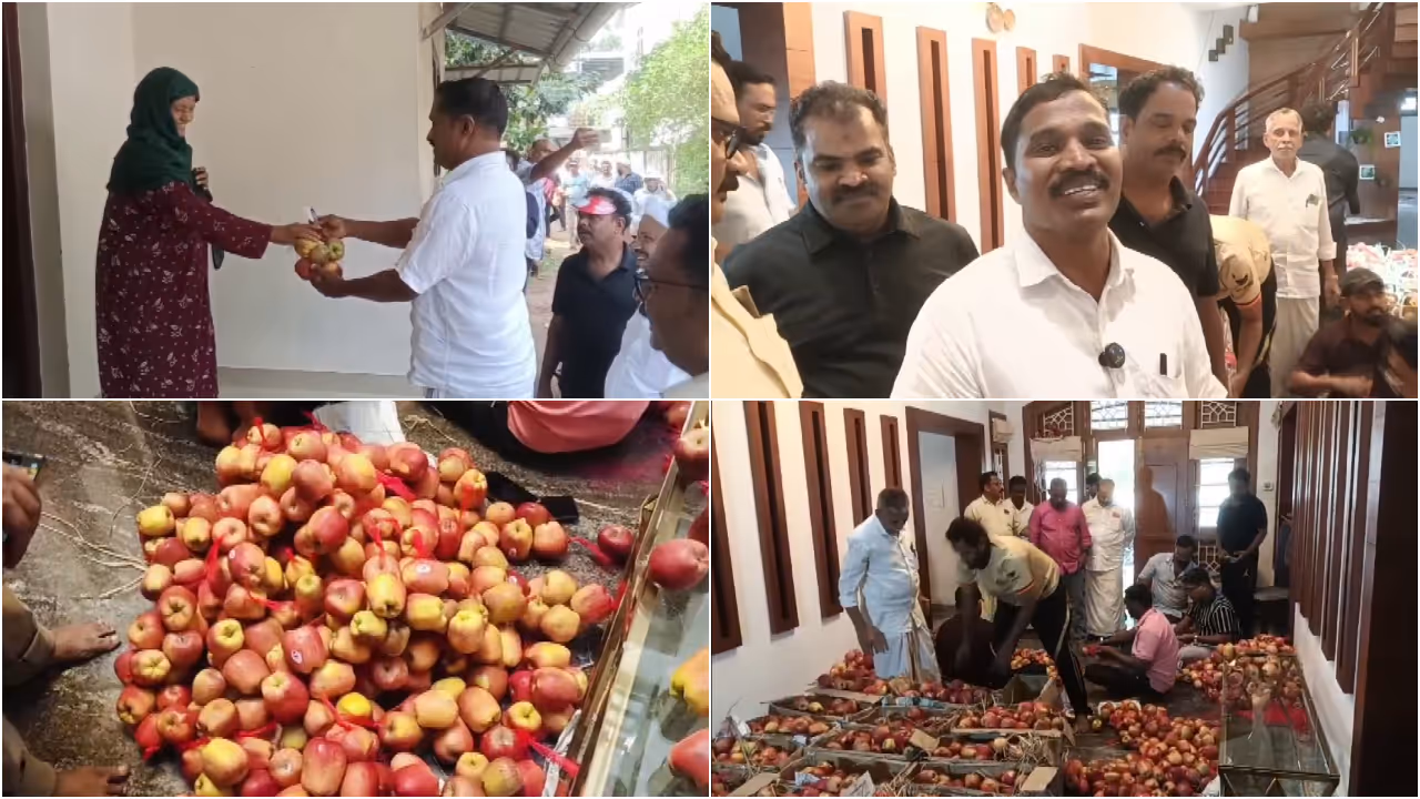 apple candidate apple candidate