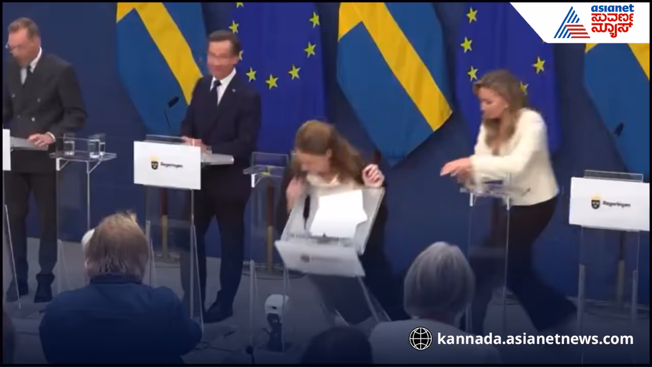 Sweden Helath Minister 