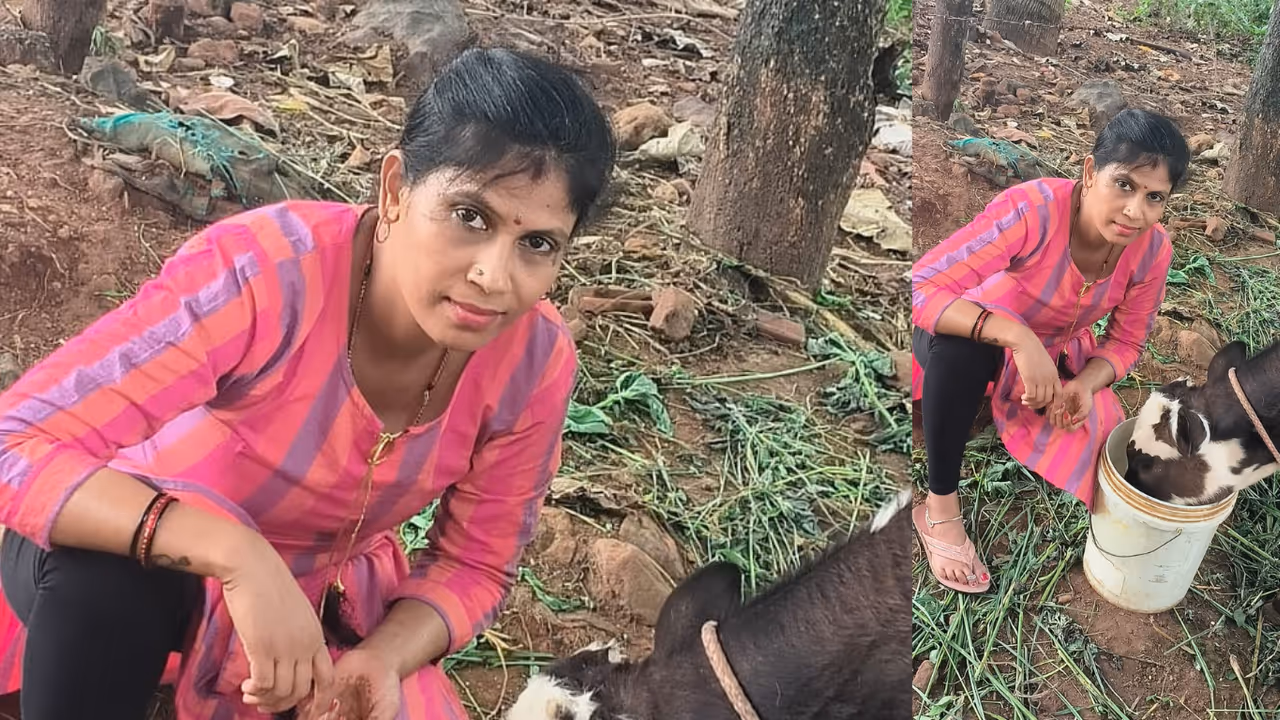 Netravati Bengaluru Netravati Bengaluru