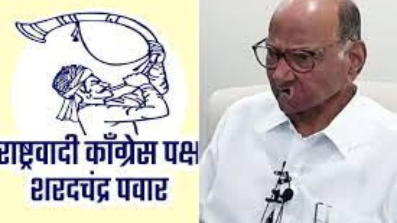 शरद पवार यांच्या पक्षाचे चिन्ह तुतारी शरद पवार यांच्या पक्षाचे चिन्ह तुतारी