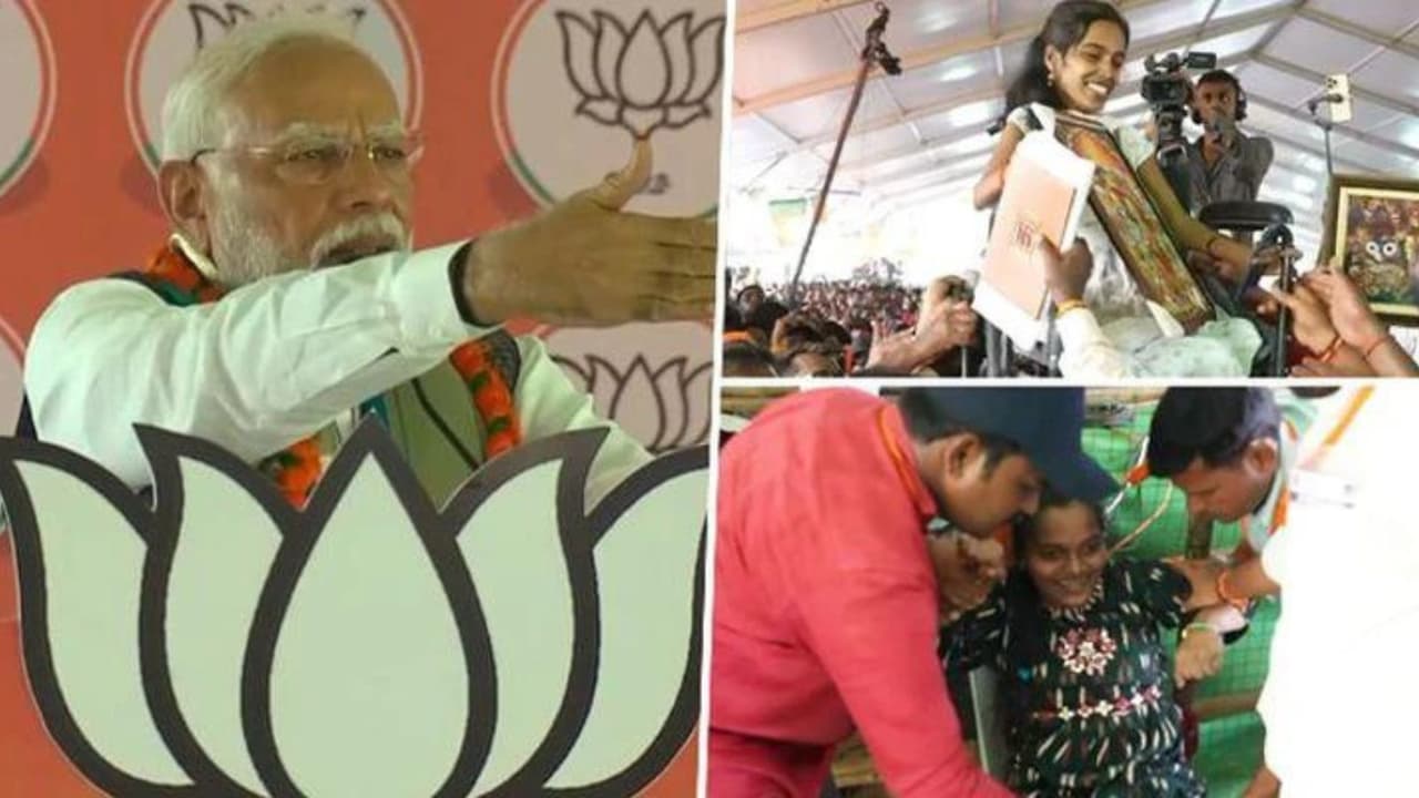 primeminister narendra modi primeminister narendra modi