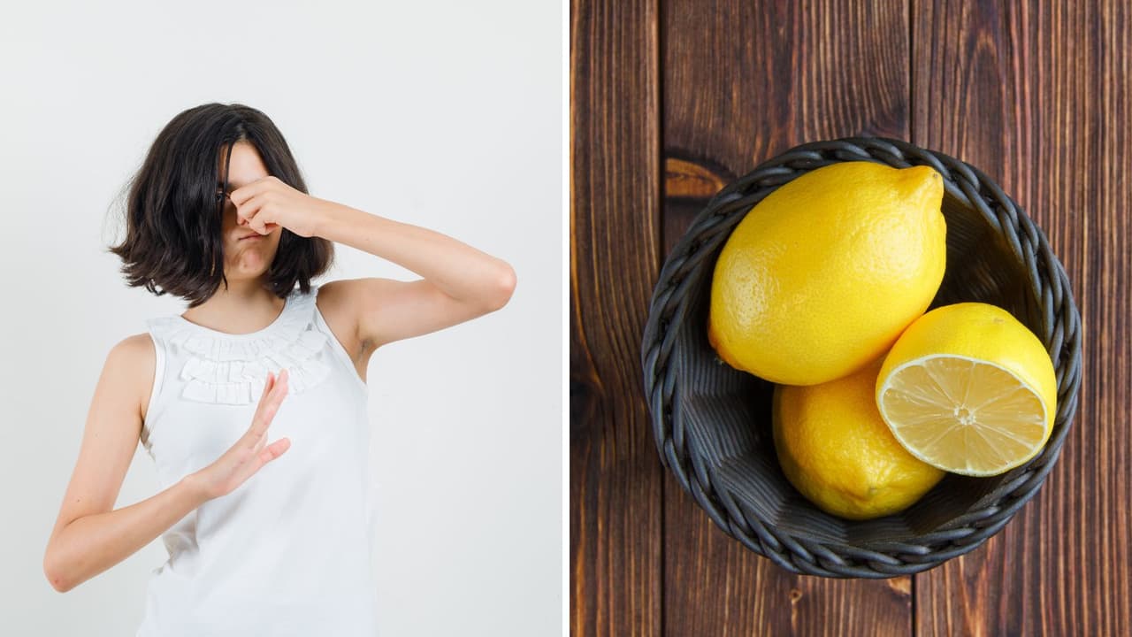 Body Odor Remedies Body Odor Remedies