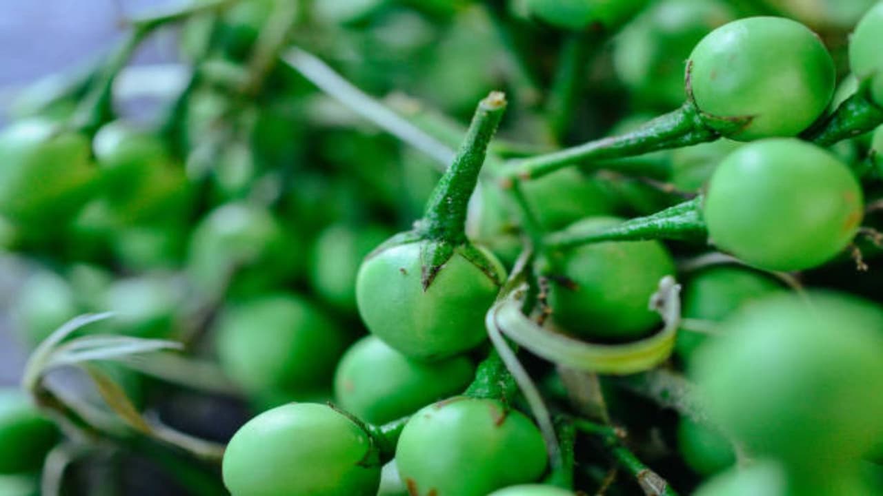 how to prepare sundaikai kuzhambu 