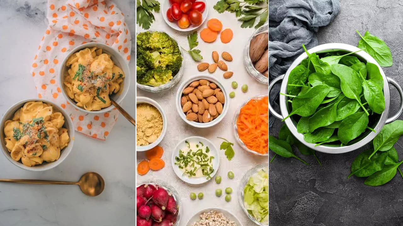 foods powerhouse of vitamin b12 foods powerhouse of vitamin b12