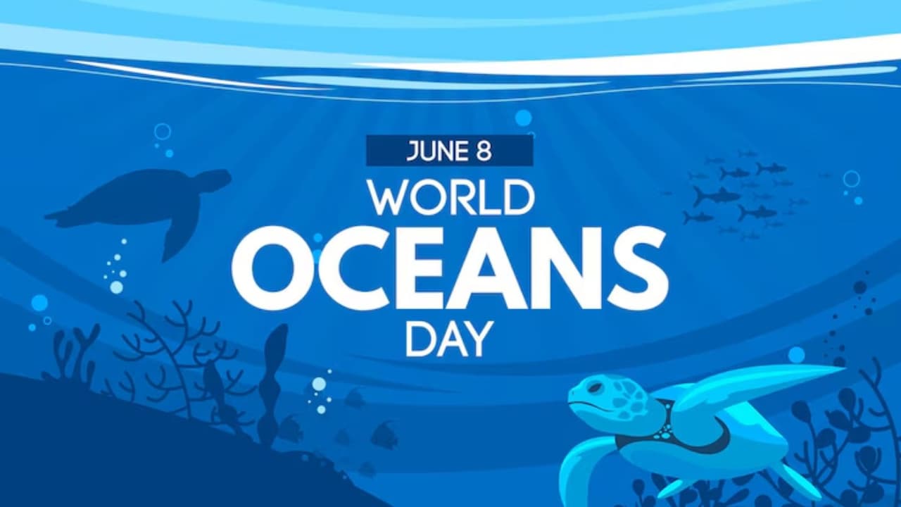 World Oceans Day 2025 unknown facts about oceans you should know World Oceans Day 2025 unknown facts about oceans you should know