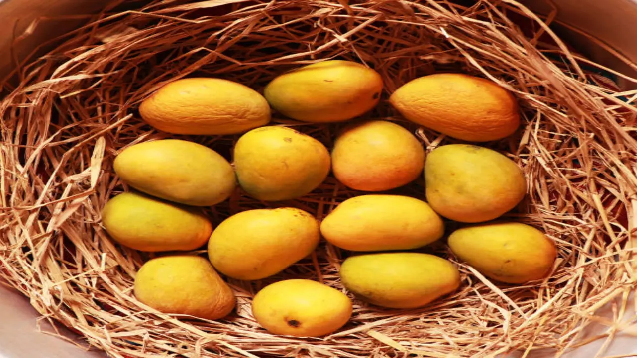 fridge or room temperature which is the best to store mangoes for ultimate freshness