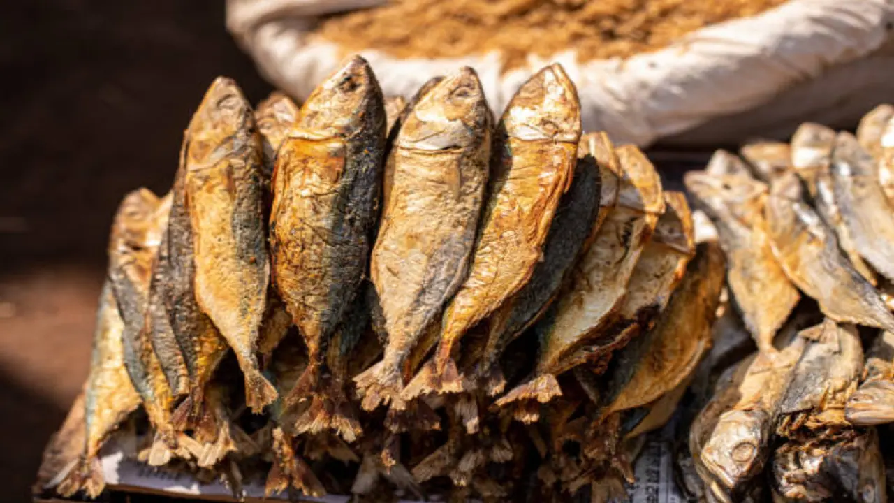 dried fish in your diet is good or not