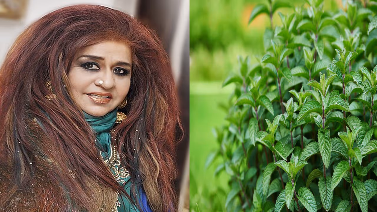 Shahnaz Husain