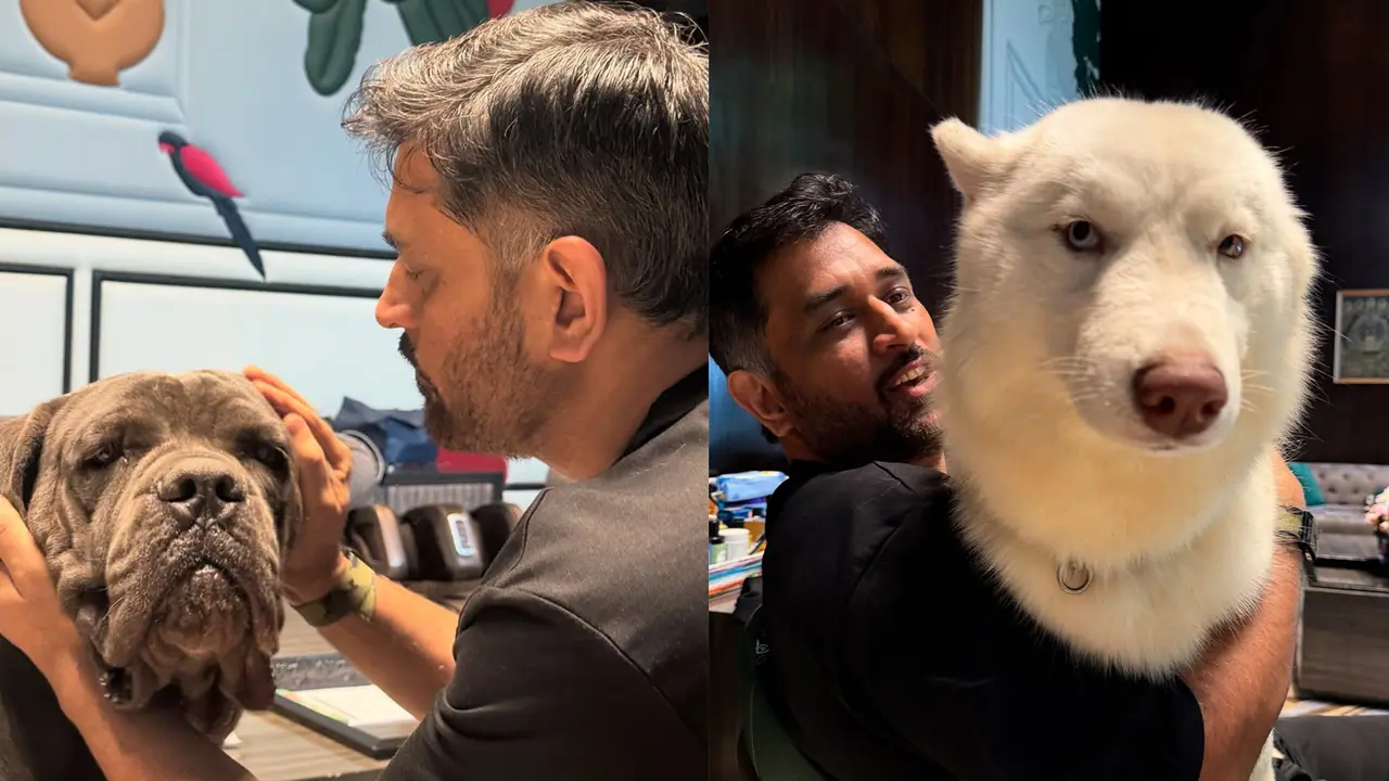 MS Dhoni picture playing with his dogs
