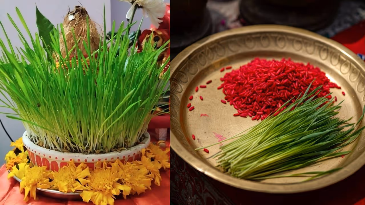 Navratri 2025 Jau after use