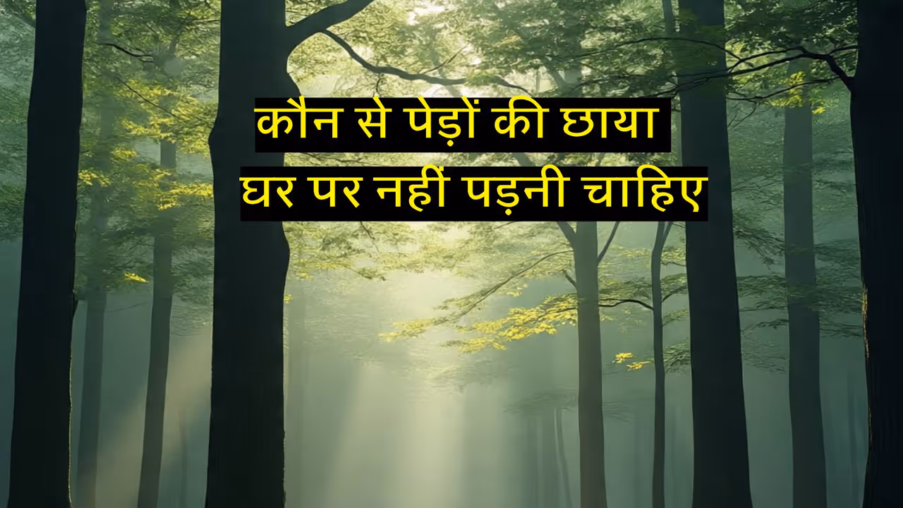 Unlucky trees near house