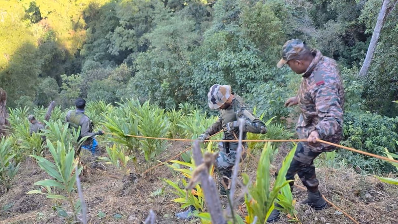 Arunachal Truck Fall Arunachal Truck Fall