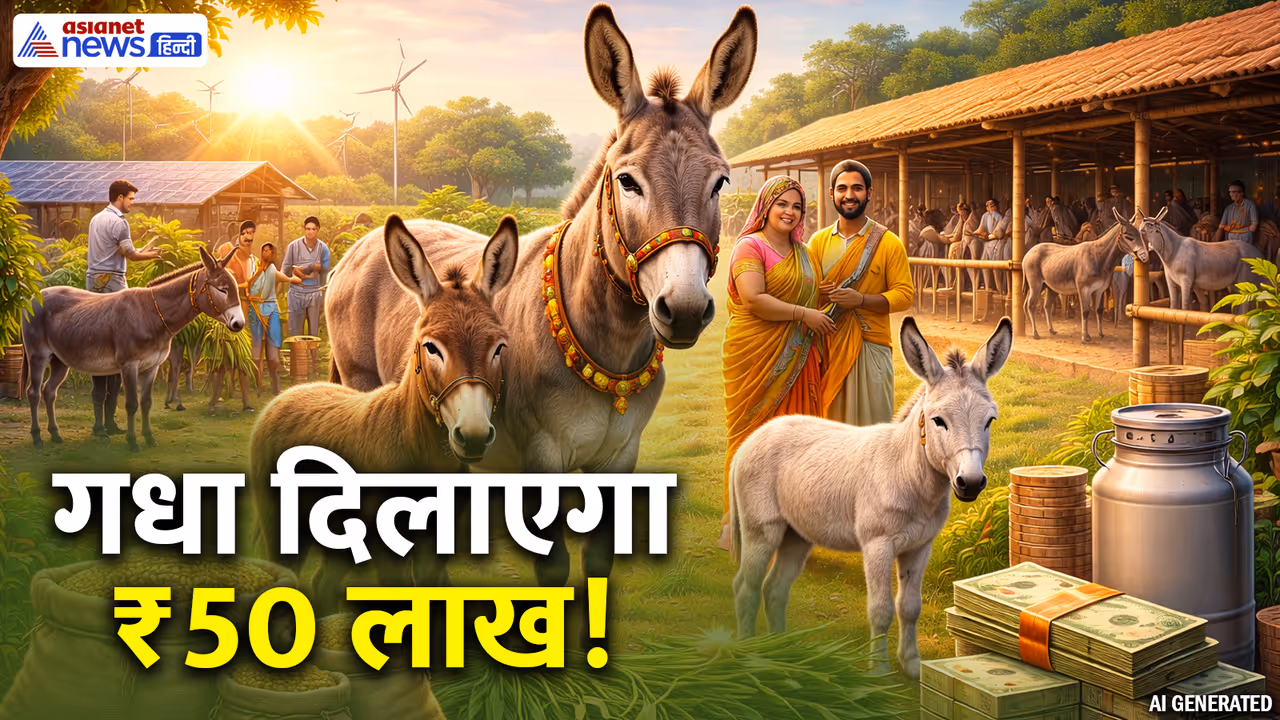 NLM scheme NLM scheme