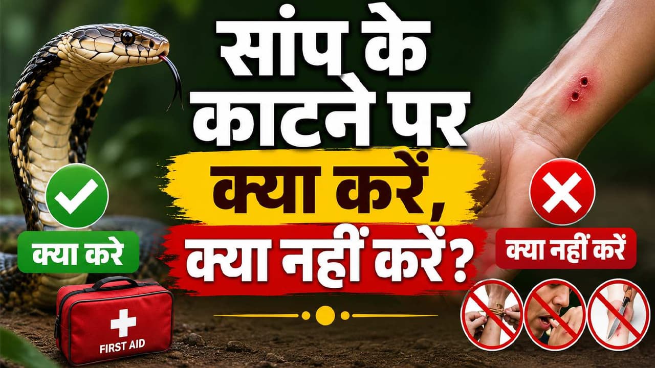 Snake Bite Emergency Snake Bite Emergency