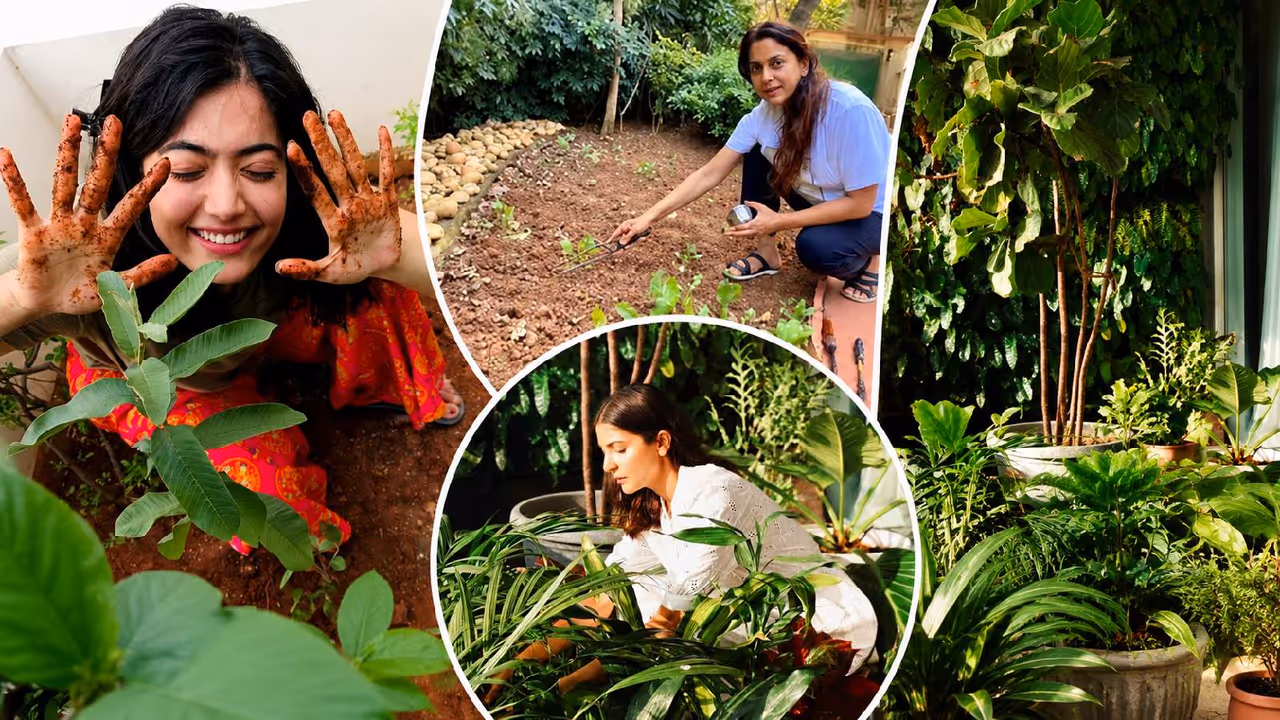Celebrity home garden Celebrity home garden