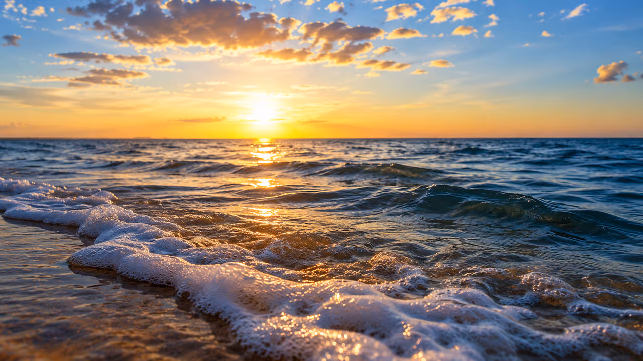 Ocean Ocean