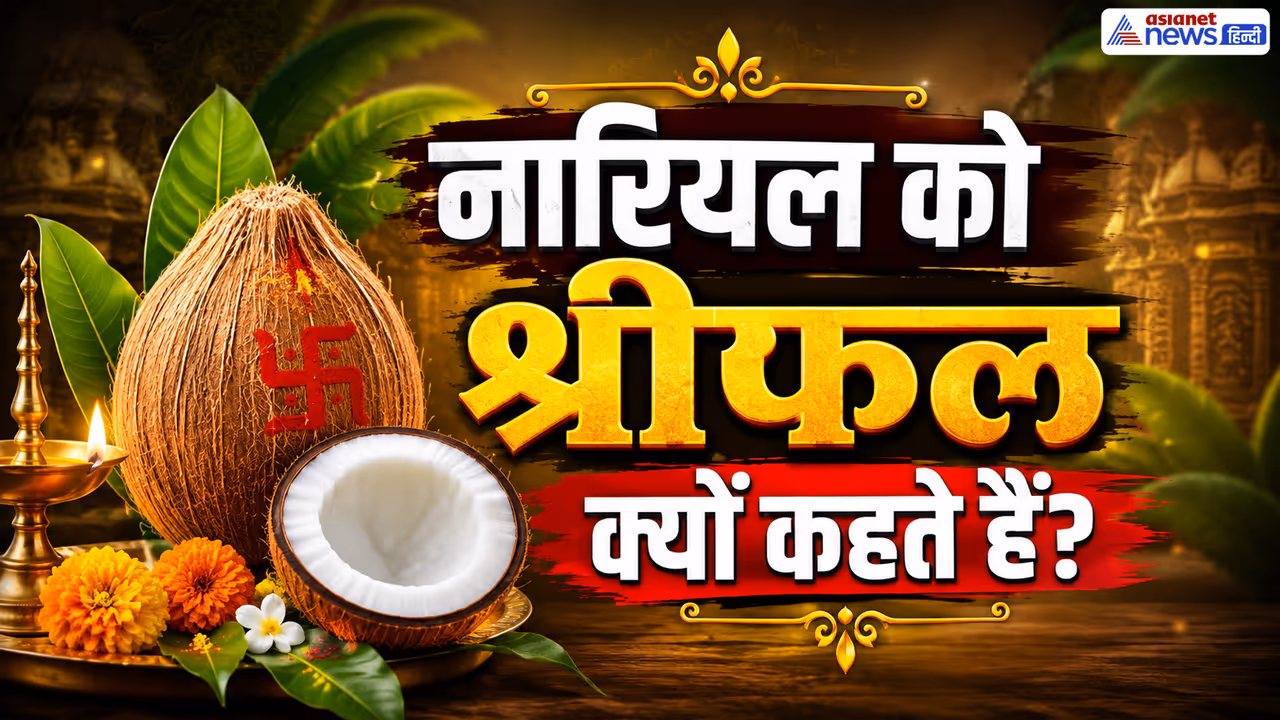 Coconut Coconut