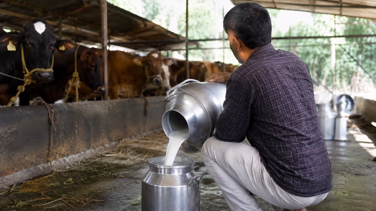 Success story organic dairy farm Success story organic dairy farm