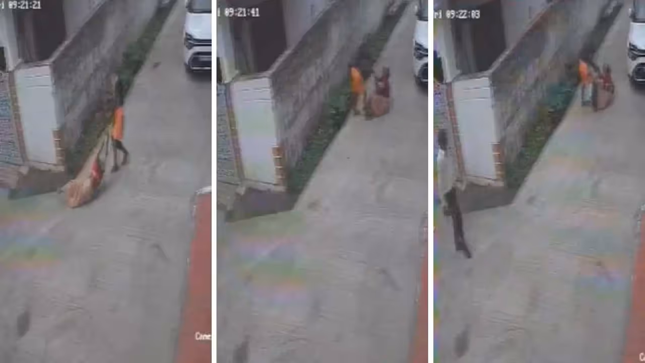 viral news viral news