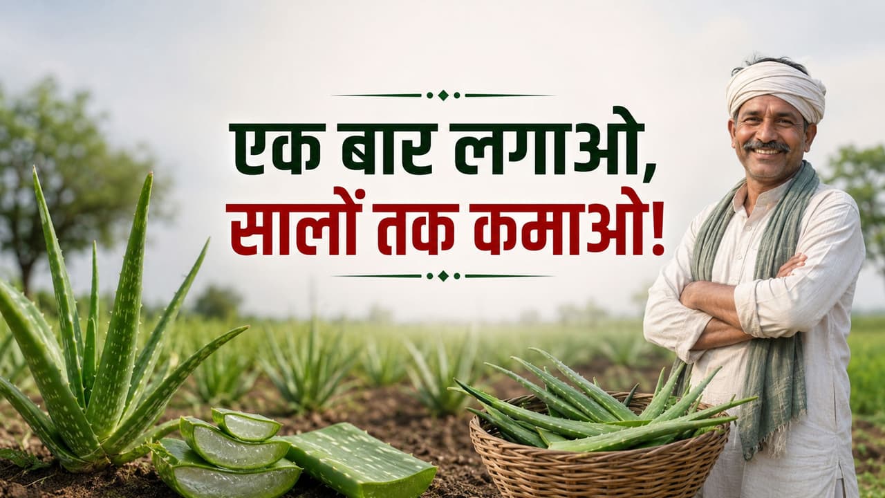 Kisan Business Ideas Kisan Business Ideas