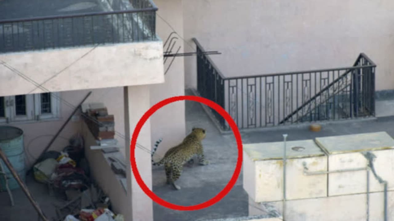 Jaipur News Jaipur News